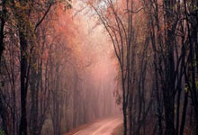 4-0！73岁拉涅利杀疯了，罗马71天强势逆袭.