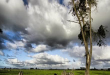 [棋牌]马桥杯新人王赛预选赛首轮战罢 梁景鑫等四人晋级.