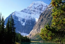 壹号娱乐官网：[网球]德约科维奇打进迈阿密大师赛单打决赛.