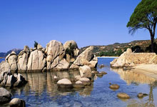 壹号娱乐官网：罗梅罗拉倒努涅斯引发大规模冲突！麦卡出头劝架情绪激动.